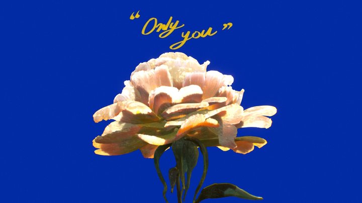 Only You – Modello 3D gratuito STL