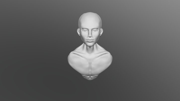 Man head sculpt 3D Model