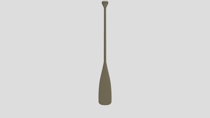 Paddle - Final Exam 3D Model
