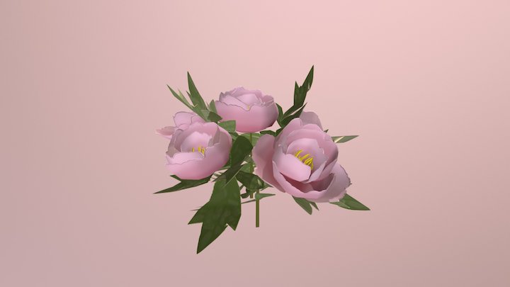 SM Peony 3D Model