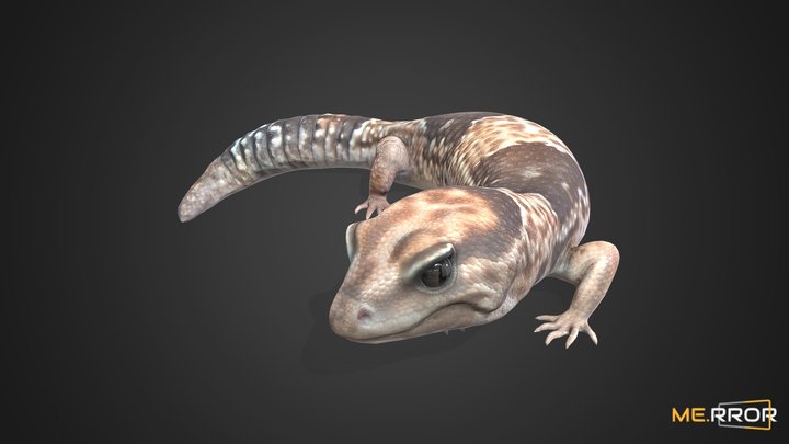 [Game-Ready] Lizard Fat tailed Gecko 3D Model