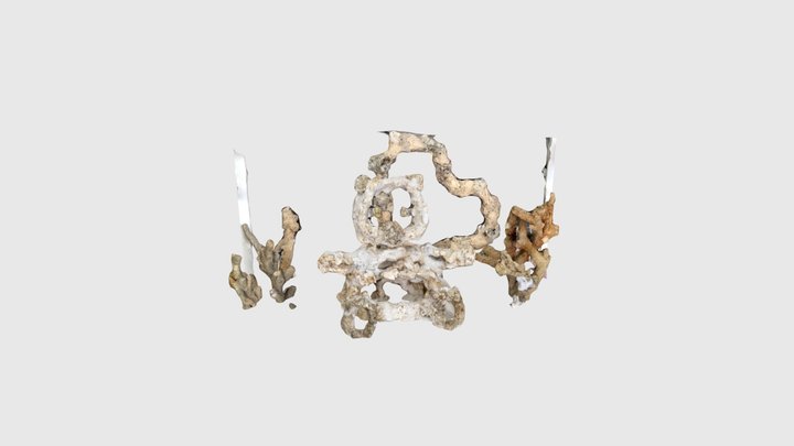 aquascapping_bear in the sea 3D Model