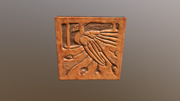 Peacock - David Owsley Museum of Art 3D Model