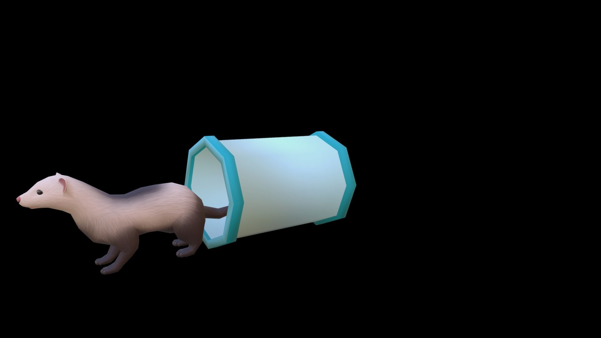 Ferret - 3D model by Art V (@artv) [7c8d0ac] - Sketchfab
