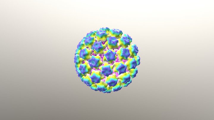 Human Papilloma Virus (HPV) 3D Model