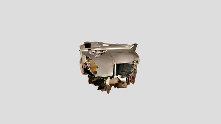Untitled Scan 3D Model