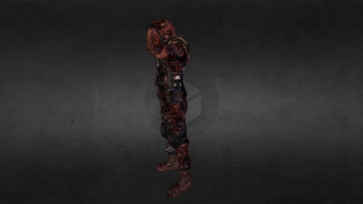 Check Out These Guns 3D Model