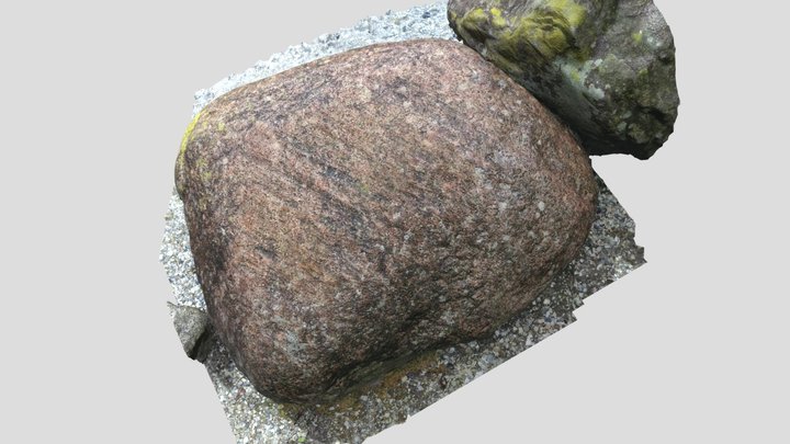 glacial striations 3D Model