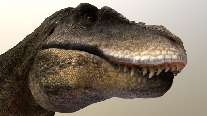 Tarbosaurus 3D Model