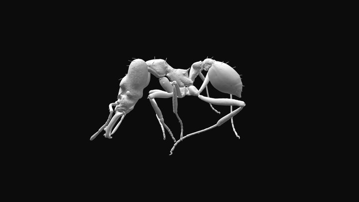 100K 3D Model