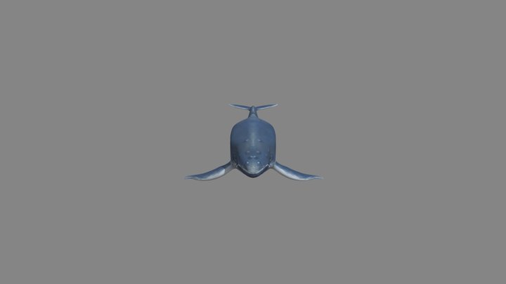 Watercolour Whale 3D Model
