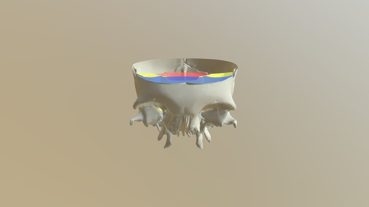 Skull Fossae 3D Model