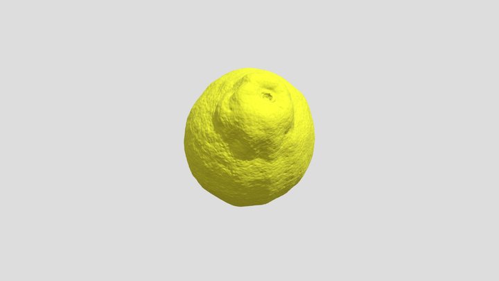 Limon_Andrea 3D Model