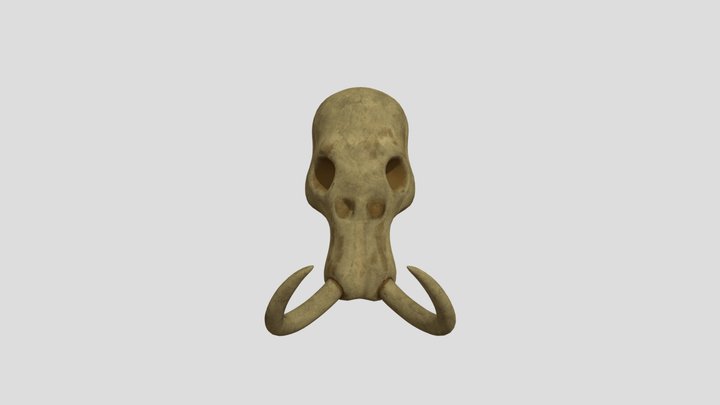 Calavera Mamut 3D Model