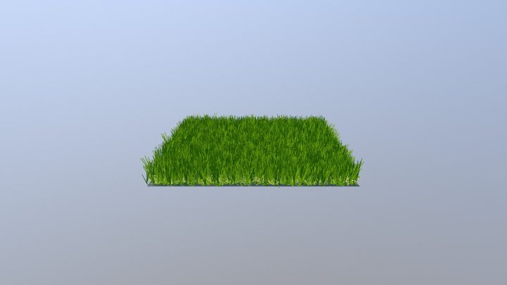 JW Synthetic Grass - Cool Kanine 80 3D Model