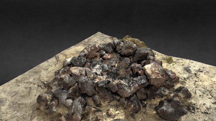 Camp Fire 3D Model