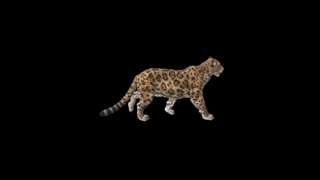 Leo 3D Model