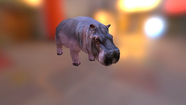 Hippos 3D Model