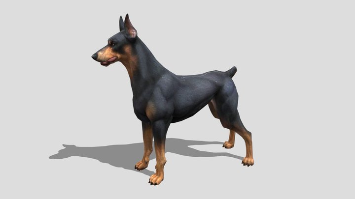 Doberman – Stylized Animated 3D Model