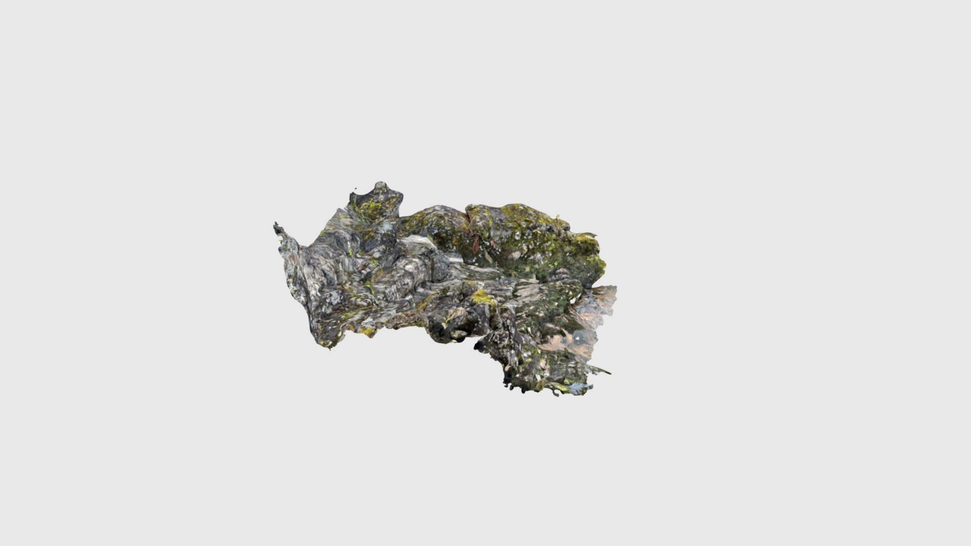 Scaniverse Model - Download Free 3D model by johannaanjar [7ca5523 ...
