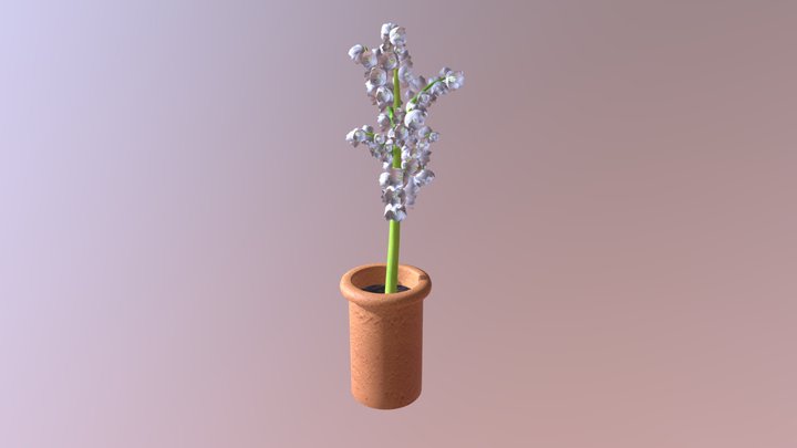 Yucca Plant 3D Model
