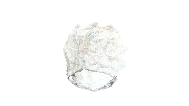 Cast model （point cloud) 3D Model