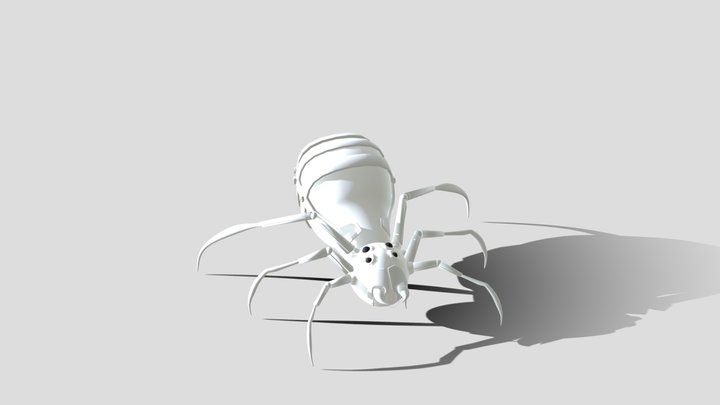 spider body 3D Model