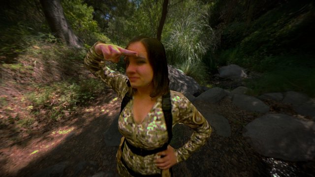 Caroline Folsom 3D Model