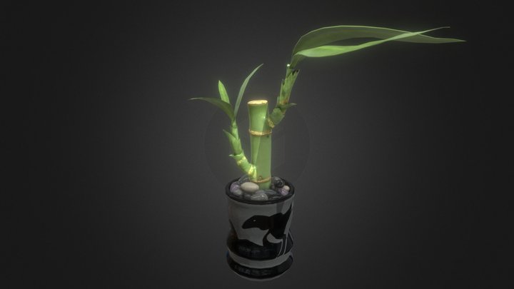 [nin] Lucky Bamboo 3D Model