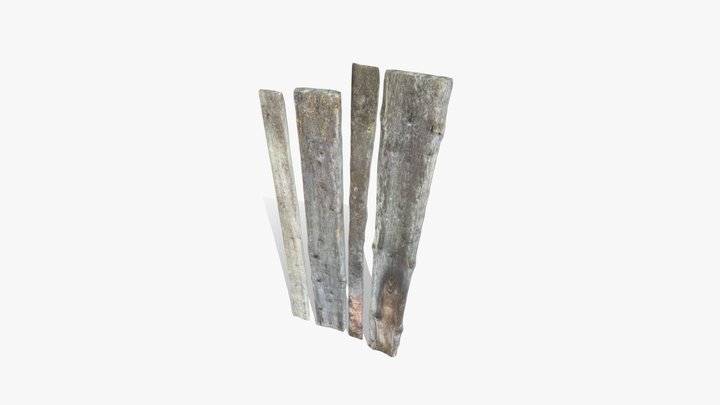 Planks Weathered 3D Model