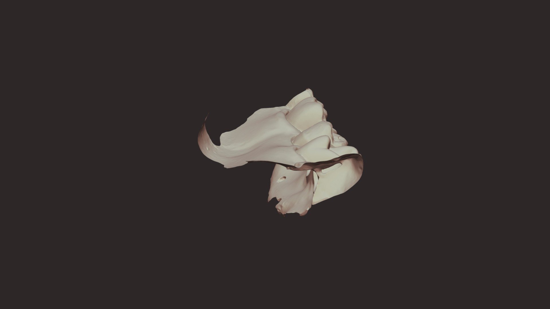 20, Group 4, Dayna T_ Lower Jaw