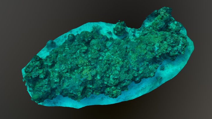 One Tree Island - Dave's Notch (2018) 3D Model