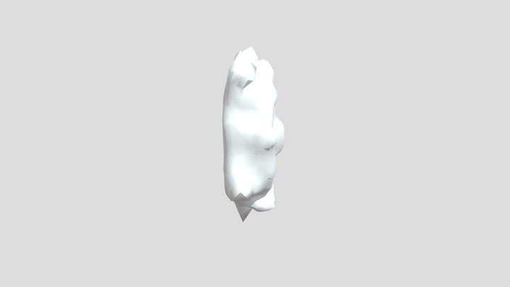 First Sculpt 3D Model