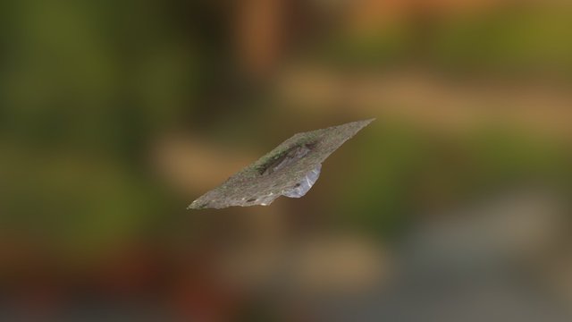 model 3D Model