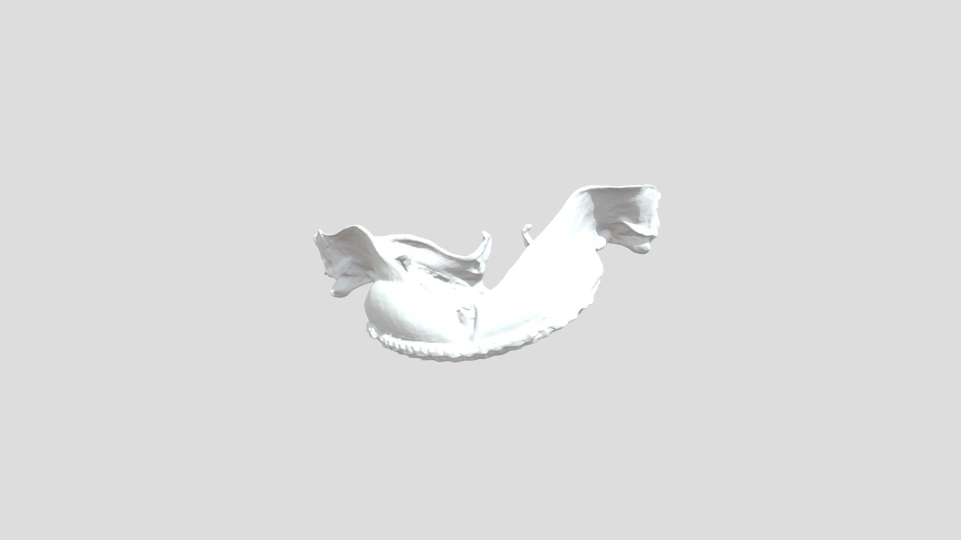Spinydogfish 50%scan Allysheehan