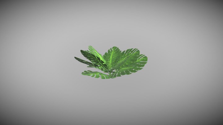 Leaves/plant 3D Model