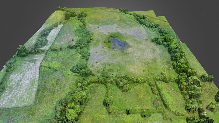 Historic Saltmine Sinkhole Collapse 2017 Survey 3D Model