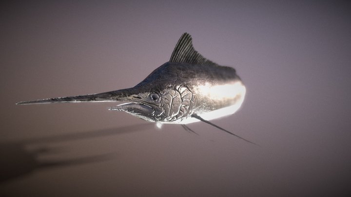 blackmarlin_pv_Motion_BVH_01_90 frames 3D Model
