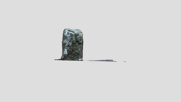 Reed Rock Photogrammetry 3D Model