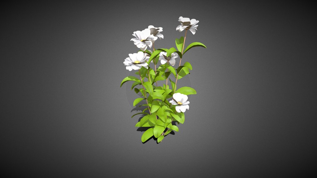 Jasmine