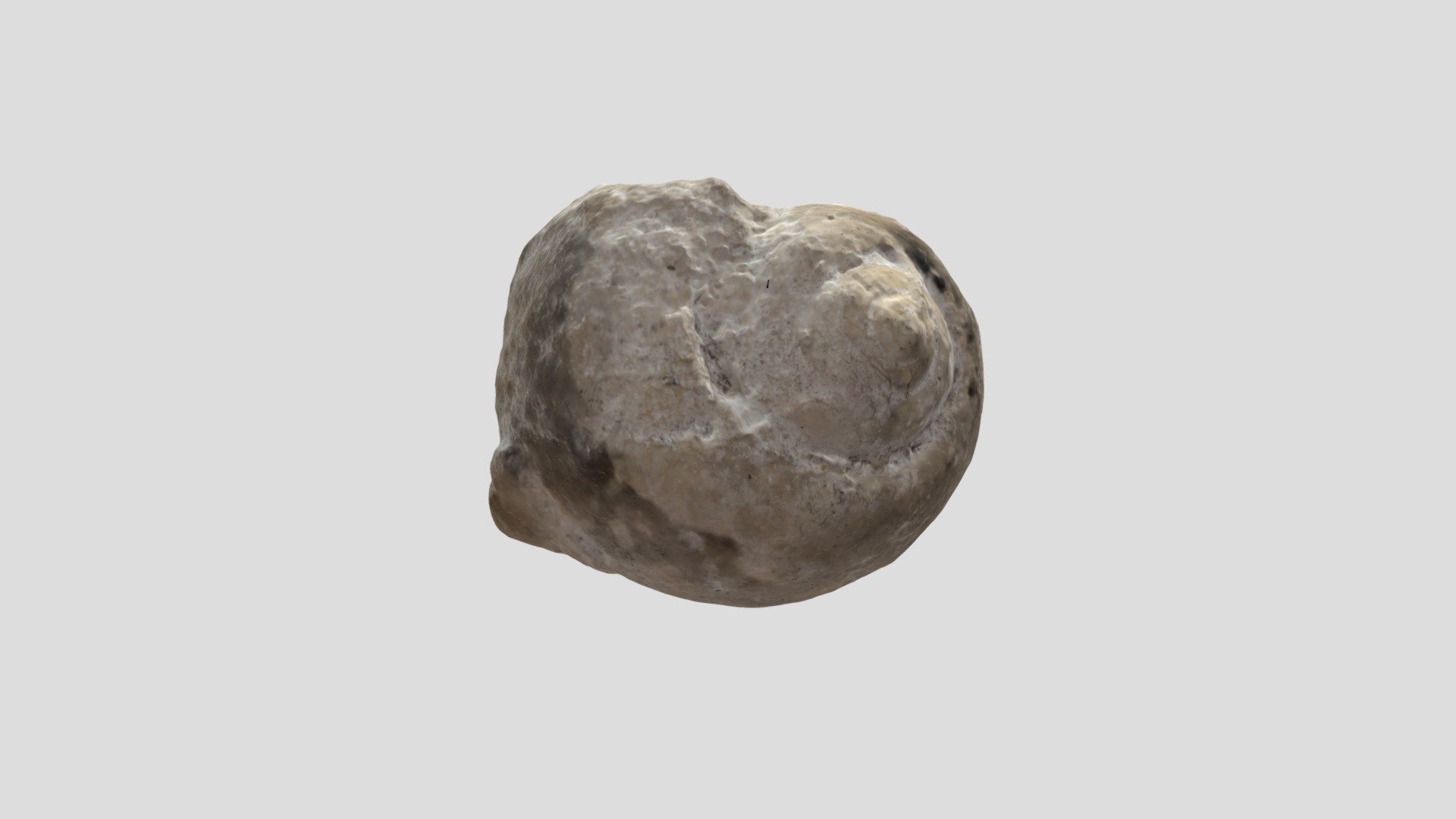Gastropod