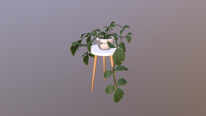 Potted Plant 3D Model