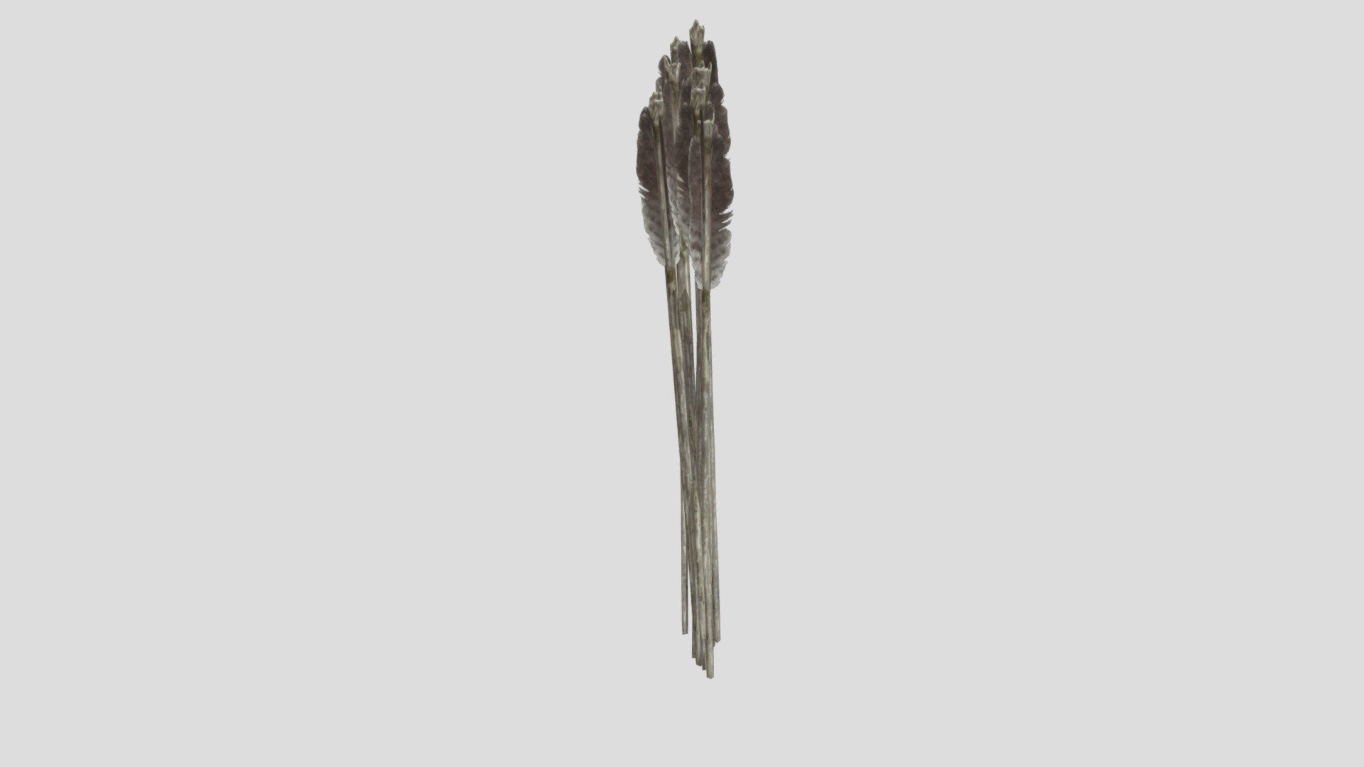WP_A_7021 - Download Free 3D model by haohao2210 [7cd1d60] - Sketchfab