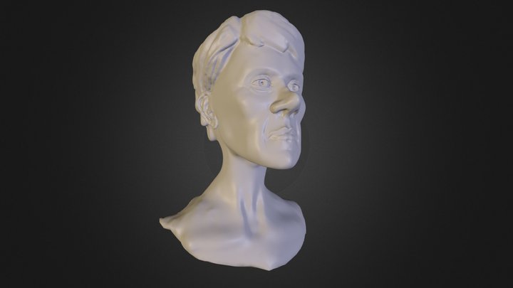 Sculpted Bust Practice 3D Model