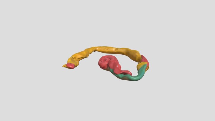 curly the rattlesnake – Modello 3D gratuito STL