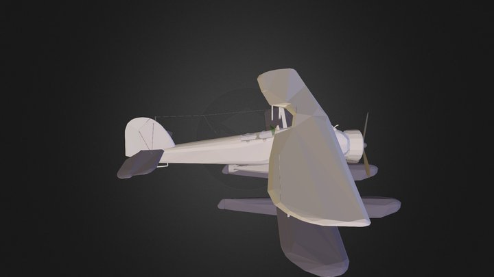 Airplane_T_SWOR_L N201009 3D Model