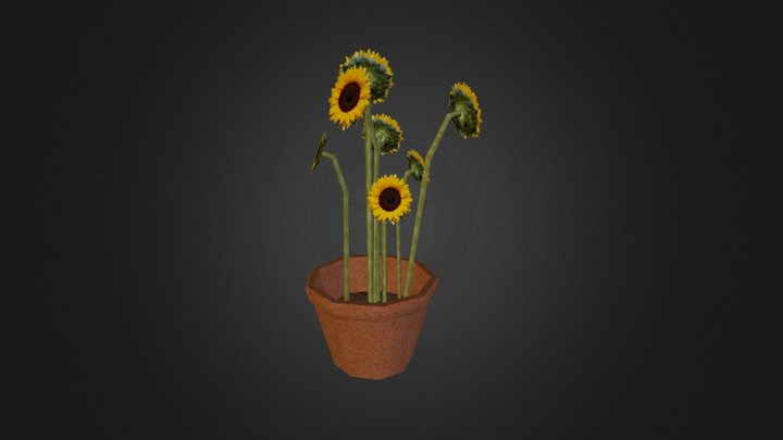 Sunflowers 3D Model