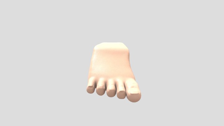 foot_01 3D Model