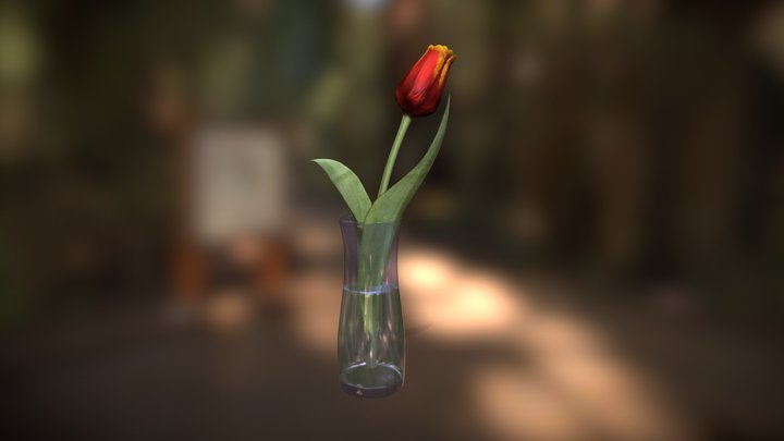 The lonely tulip 3D Model