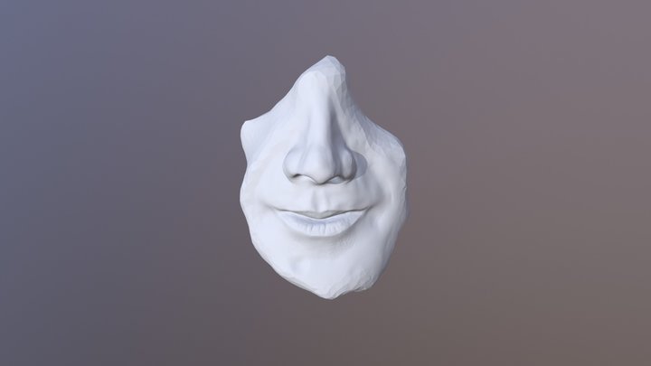 01 - Mouth and nose 3D Model